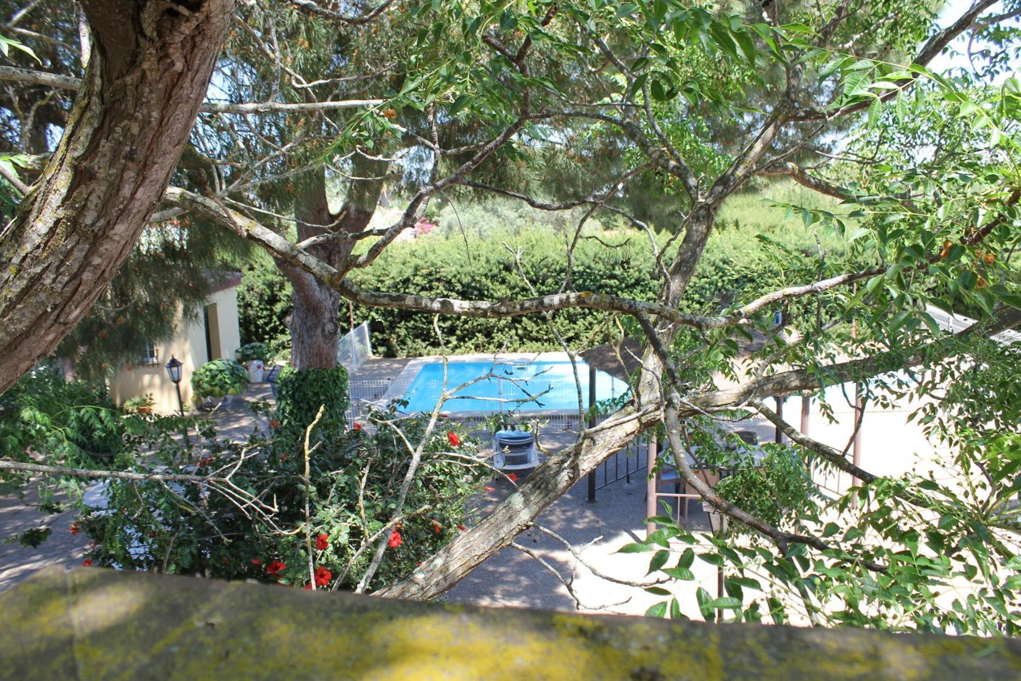 Casa Con Piscina Privada Y Barbacoa En Chiclana Capacidad Hasta 10 Personas Chiclana de la Frontera Exterior foto